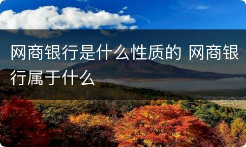 网商银行是什么性质的 网商银行属于什么