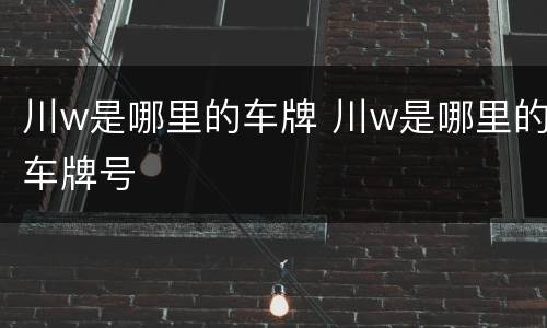 川w是哪里的车牌 川w是哪里的车牌号