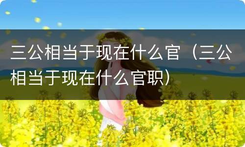 三公相当于现在什么官（三公相当于现在什么官职）