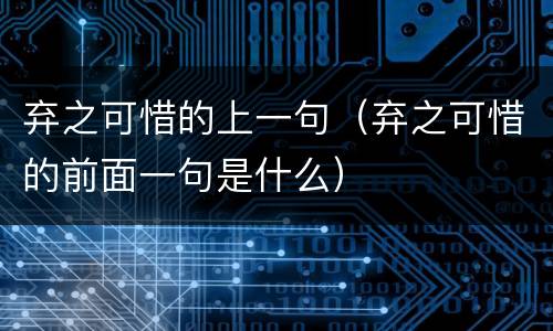 弃之可惜的上一句（弃之可惜的前面一句是什么）