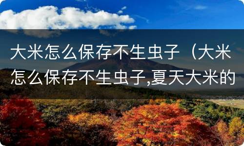 大米怎么保存不生虫子（大米怎么保存不生虫子,夏天大米的储存方法 - 天气加）