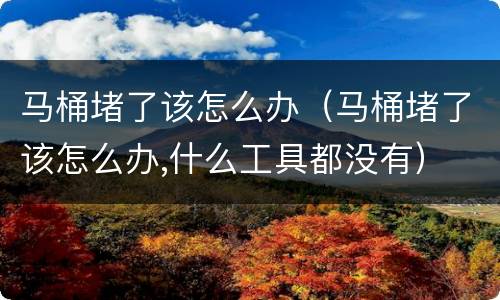 马桶堵了该怎么办（马桶堵了该怎么办,什么工具都没有）
