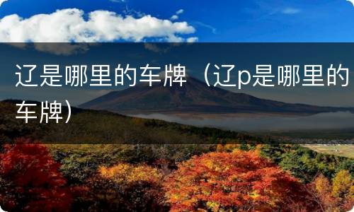 辽是哪里的车牌（辽p是哪里的车牌）