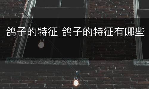 鸽子的特征 鸽子的特征有哪些