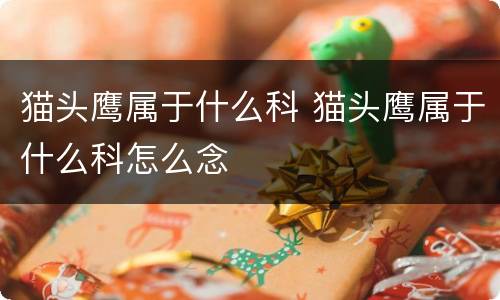 猫头鹰属于什么科 猫头鹰属于什么科怎么念