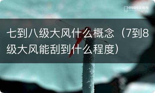七到八级大风什么概念（7到8级大风能刮到什么程度）