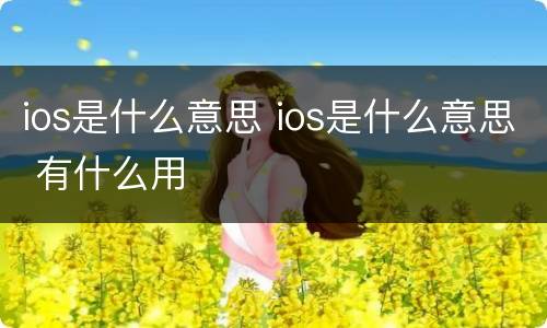 ios是什么意思 ios是什么意思 有什么用