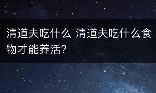 清道夫吃什么 清道夫吃什么食物才能养活?
