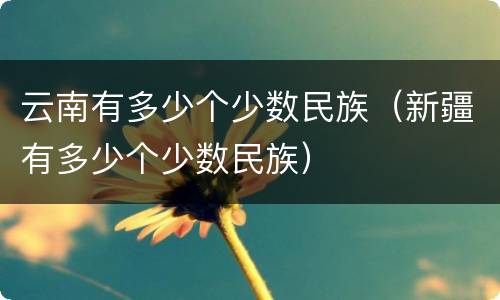云南有多少个少数民族（新疆有多少个少数民族）