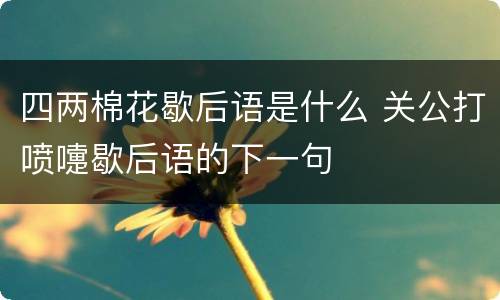 四两棉花歇后语是什么 关公打喷嚏歇后语的下一句