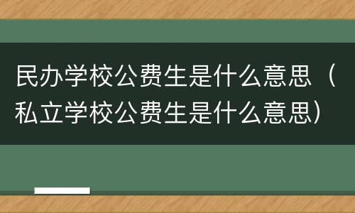 民办学校公费生是什么意思（私立学校公费生是什么意思）
