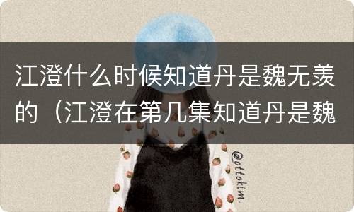 江澄什么时候知道丹是魏无羡的（江澄在第几集知道丹是魏无羡的）