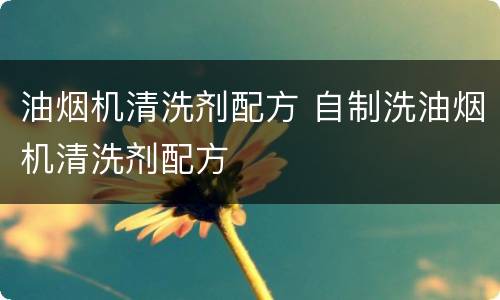 油烟机清洗剂配方 自制洗油烟机清洗剂配方