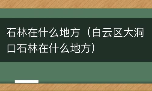 石林在什么地方（白云区大洞口石林在什么地方）