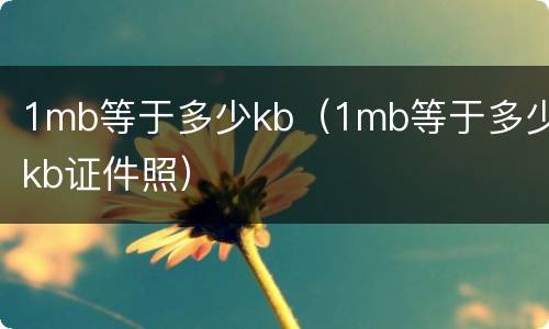 1mb等于多少kb（1mb等于多少kb证件照）
