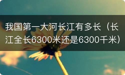 我国第一大河长江有多长（长江全长6300米还是6300千米）