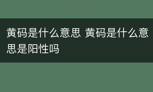 黄码是什么意思 黄码是什么意思是阳性吗