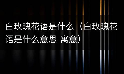 白玫瑰花语是什么（白玫瑰花语是什么意思 寓意）