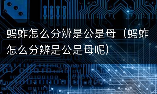 蚂蚱怎么分辨是公是母（蚂蚱怎么分辨是公是母呢）