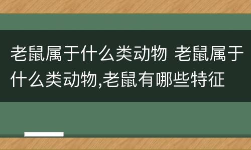 老鼠属于什么类动物 老鼠属于什么类动物,老鼠有哪些特征