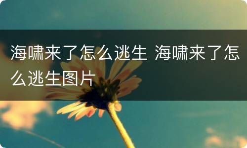 海啸来了怎么逃生 海啸来了怎么逃生图片