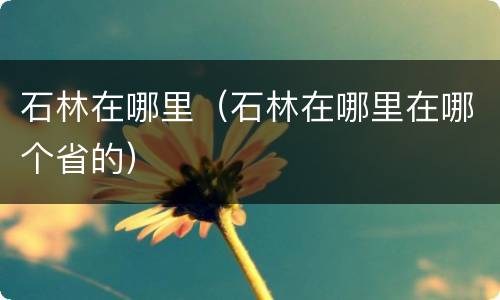 石林在哪里（石林在哪里在哪个省的）
