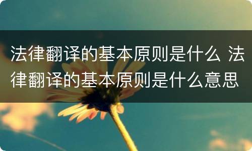 法律翻译的基本原则是什么 法律翻译的基本原则是什么意思