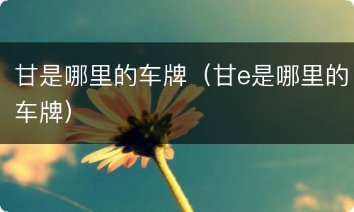 甘是哪里的车牌（甘e是哪里的车牌）