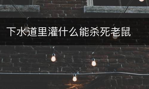 下水道里灌什么能杀死老鼠
