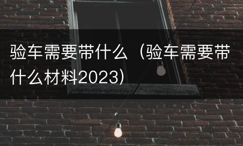 验车需要带什么（验车需要带什么材料2023）