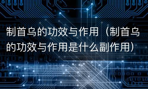制首乌的功效与作用（制首乌的功效与作用是什么副作用）