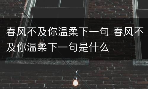春风不及你温柔下一句 春风不及你温柔下一句是什么