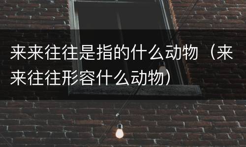 来来往往是指的什么动物（来来往往形容什么动物）