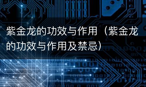 紫金龙的功效与作用（紫金龙的功效与作用及禁忌）