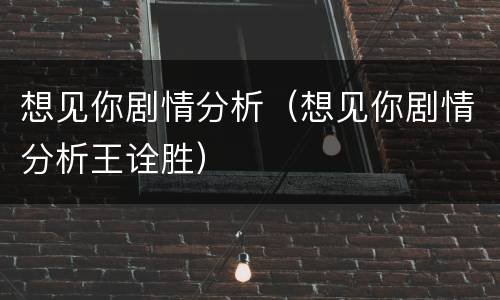 想见你剧情分析（想见你剧情分析王诠胜）