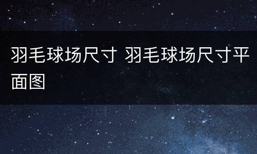 羽毛球场尺寸 羽毛球场尺寸平面图