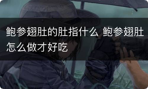 鲍参翅肚的肚指什么 鲍参翅肚怎么做才好吃