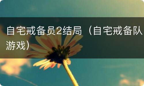 自宅戒备员2结局（自宅戒备队游戏）