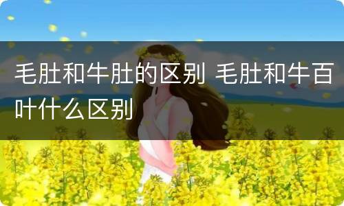 毛肚和牛肚的区别 毛肚和牛百叶什么区别