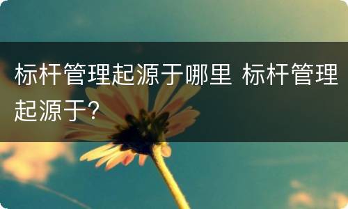 标杆管理起源于哪里 标杆管理起源于?