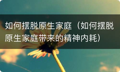 如何摆脱原生家庭（如何摆脱原生家庭带来的精神内耗）