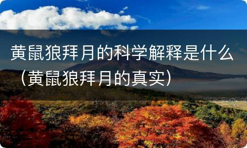 黄鼠狼拜月的科学解释是什么（黄鼠狼拜月的真实）