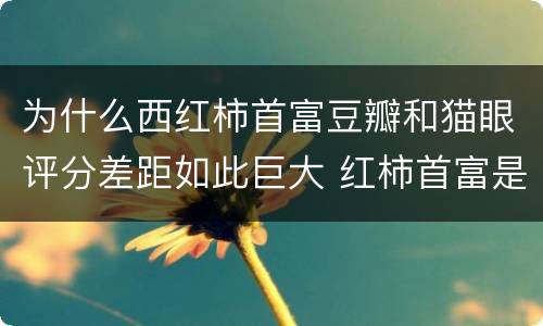为什么西红柿首富豆瓣和猫眼评分差距如此巨大 红柿首富是什么电影