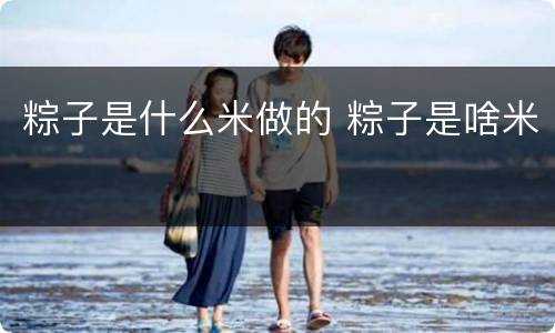粽子是什么米做的 粽子是啥米