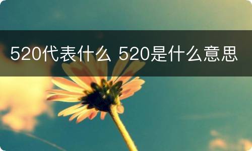 520代表什么 520是什么意思