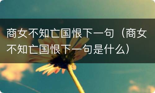 商女不知亡国恨下一句（商女不知亡国恨下一句是什么）