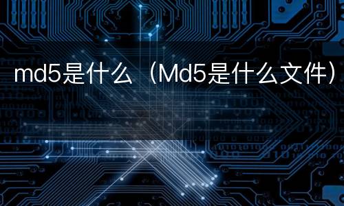 md5是什么（Md5是什么文件）