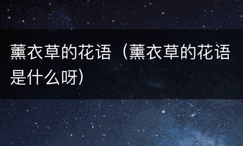 薰衣草的花语（薰衣草的花语是什么呀）