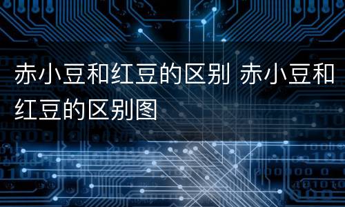 赤小豆和红豆的区别 赤小豆和红豆的区别图