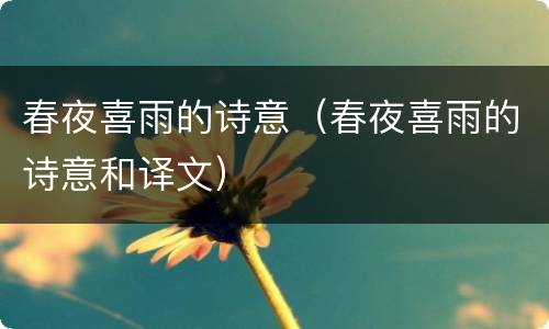 春夜喜雨的诗意（春夜喜雨的诗意和译文）